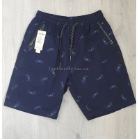 Чоловічі котонові шорти №23-9656