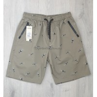 Чоловічі котонові шорти №23-9656