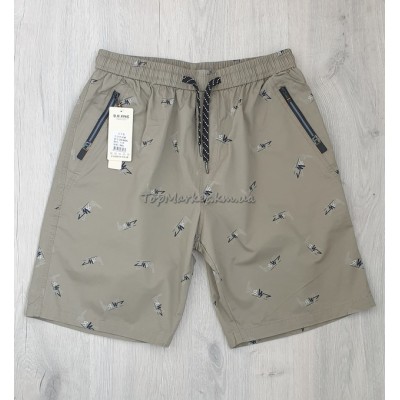 Чоловічі котонові шорти №23-9656