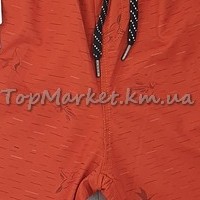 Чоловічі котонові шорти №23-9665