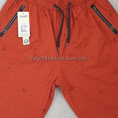 Чоловічі котонові шорти №23-9665