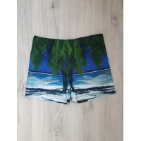 Чоловічі купальні боксери №18-3, 2XL-3XL