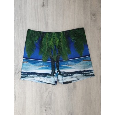 Чоловічі купальні боксери №18-3, 2XL-3XL