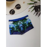 Купальні боксери підліткові №14-141, 38-46 розм.