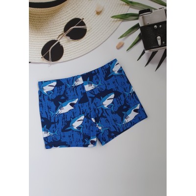 Купальні боксери підліткові №13-154, 38-46 розм