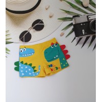 Купальні боксери дитячі №13-231, 28-36 розм.