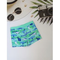 Купальні боксери дитячі №13-268, 28-36 розм.