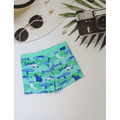 Купальні боксери дитячі №13-268, 28-36 розм.