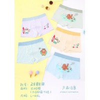 Дитячі боксери №2585, L-4XL