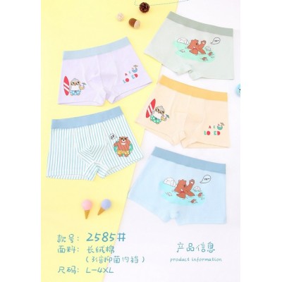 Дитячі боксери №2585, L-4XL