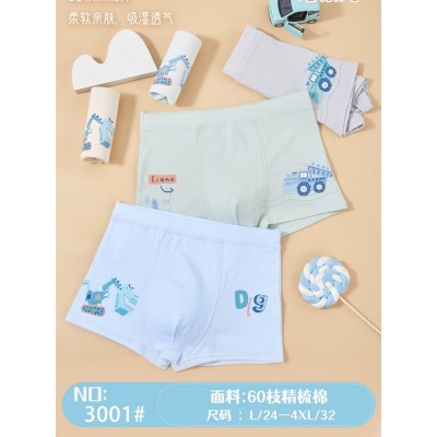 Дитячі боксери №3001, L-4XL