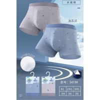 Чоловічі боксери №5419, XL-3XL