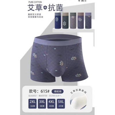 Чоловічі боксери  №615, 2XL-5XL