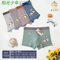 Підліткові боксери №701, XL-3XL