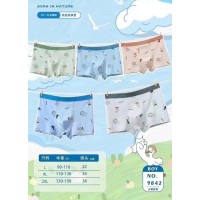 Підліткові боксери №9842, L-2XL