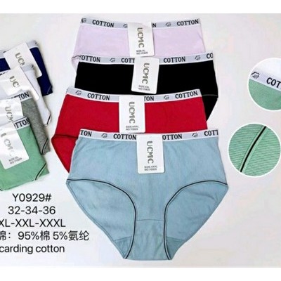 Жіночі плавки №0929, XL-XXXL Жіночі плавки №0929, XL-XXXL